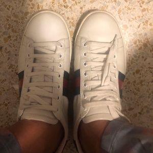 Women's Ace sneaker with bee